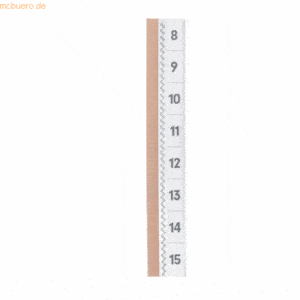 Durable Selbstklebereiter Tabfix 200x10 2-zeilig transparent VE=5 Stüc