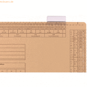 Elba Vollsichtreiter für Einstellmappen 50x27mm 3-zeilig transparent V