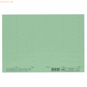 Elba Beschriftungsschild für 4-zeilige Sichtreiter 58x18mm grün VE=10x