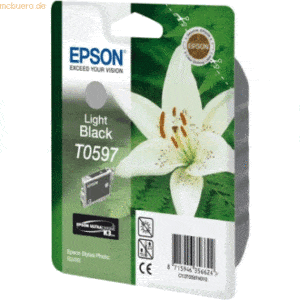 Epson Tintenpatrone Original Epson C13T05974010 schwarz-light