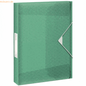 12 x Esselte Ablagebox Colour'Ice A4 PP 25mm grün