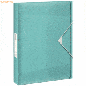 8 x Esselte Ablagebox Colour'Ice A4 PP 40mm blau