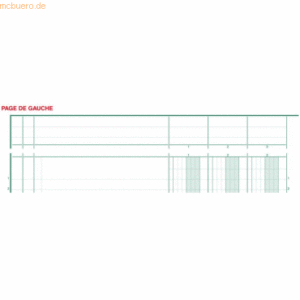 Exacompta Spaltenbuch A4 Karton mit Kopfleiste 10 Spalten 40 Blatt