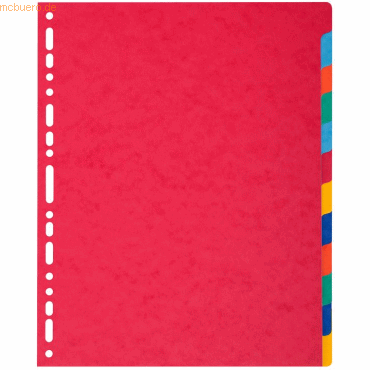 Exacompta Register A4+ Manila-Karton 400g 12-teilig blanko farbig