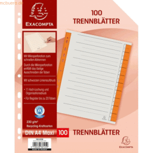 Exacompta Trennblatt A4 230g/qm Karton (RC) VE=100 Stück orange