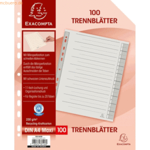 Exacompta Trennblatt A4 230g/qm Karton (RC) VE=100 Stück grau