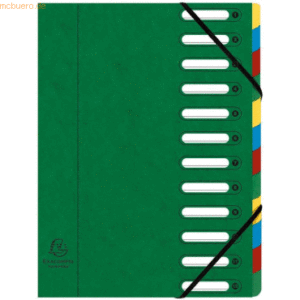Exacompta Ordnungsmappe A4 12-teilig mit Gummizug grün