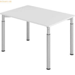 mcbuero.de Schreibtisch 120x80cm Grau/Silber