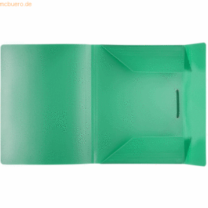 Foldersys Sammelmappe A4 PP 16mm Rücken vollfarbig grün