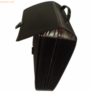 Foldersys Fächertasche A4 PP 24 Fächer mit Griff schwarz