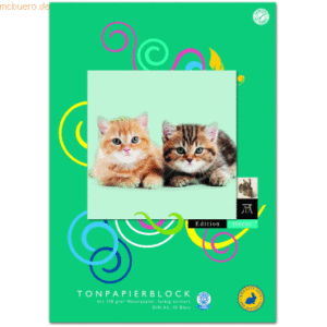 Format-Duerer Tonpapierblock A3 130g/qm 10 Blatt farbig sortiert