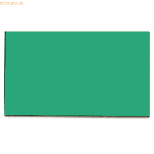 Franken Magnetsymbole Rechteck 10x20mm VE=56 Stück grün