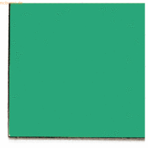 Franken Magnetsymbole quadratisch 10x10mm VE=112 Stück grün