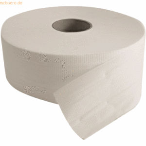 HygoStar Toilettenpapier Großrolle RC 2-lagig 19
