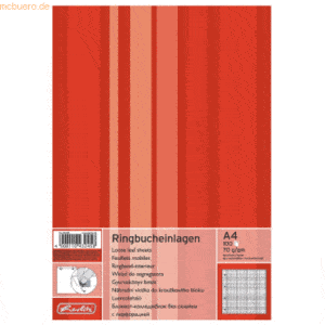 5 x Herlitz Ringbucheinlagen A4 100 Blatt kariert