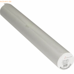 Hahnemühle Skizzenpapier Rolle 33cmx20m 40/45g transparent