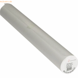 Hahnemühle Skizzenpapier Rolle 33cmx50m 40/45g transparent