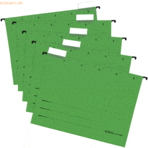 Herlitz Hängemappe 230g/qm grün VE=5 Stück