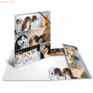 HERMA Sammelmappe A4 Pappe Hunde