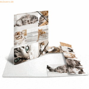 HERMA Sammelmappe A4 Pappe Katzen