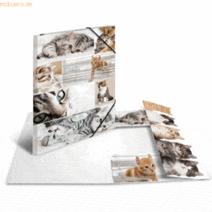 HERMA Sammelmappe A3 Pappe Katzen