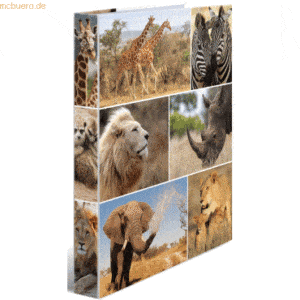 3 x HERMA Ringbuch A4 Karton 4 Ringe Afrika Tiere