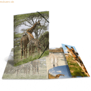 HERMA Sammelmappe Glossy Tiere A4 PP Giraffe