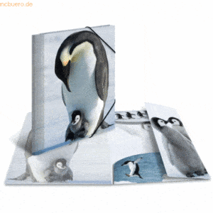 HERMA Sammelmappe Glossy Tiere A4 PP Pinguine