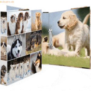 HERMA Ringbuch A4 Karton 2 Ringe Hunde
