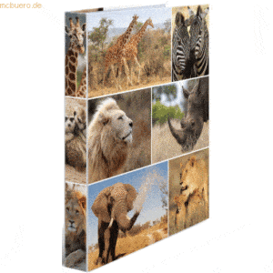 3 x HERMA Ringbuch A4 Karton 2 Ringe Afrika Tiere