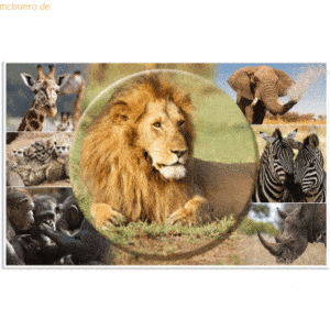 3 x HERMA Schreibunterlage 55x35cm Afrika Tiere