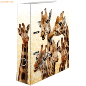 10 x HERMA Motivordner A4 70mm Exotische Tiere Giraffenfreunde