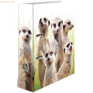 10 x HERMA Motivordner A4 70mm Exotische Tiere Erdmännchentruppe