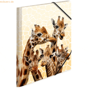 3 x HERMA Sammelmappe A4 PP Giraffenfreunde