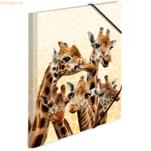 3 x HERMA Sammelmappe A3 PP Giraffenfreunde