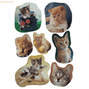 10 x HERMA Schmucketiketten Decor Fotogene Kätzchen VE=3 Blatt