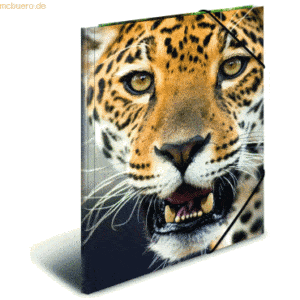 HERMA Gummizugmappe A4 PP (Polypropylen) Leopard