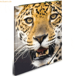 HERMA Sammelmappe A3 PP 'Leopard'