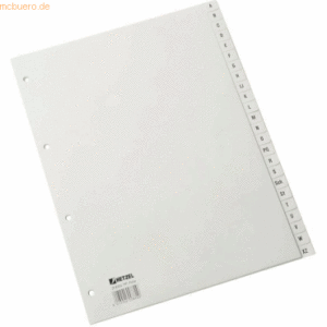 Hetzel Plastikregister 1-24 A4 PP 24 Blatt grau