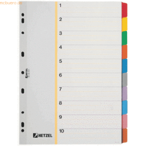 10 x Hetzel Kartonregister Blanko A4 Karton 10 Blatt grau