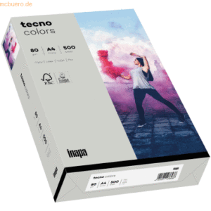 Inapa Multifunktionspapier tecno colors A4 80g/qm VE=500 Blatt grau