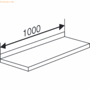 Kerkmann Fachboden für Bibliotheks-Regal libra BxT 100x30cm lichtgrau