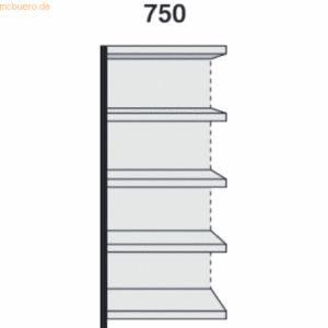 Kerkmann Magazin-Regal Stora 100 Regalfeld mit Rückwand BxTxH 75x30x19