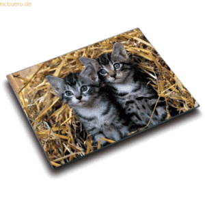Läufer Schreibunterlage Motiv-Poster 40x53 cm Katzen im Stroh