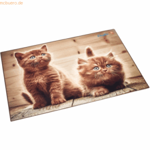 Läufer Schreibunterlage Motiv-Poster 40x53 cm Neugierige Kätzchen