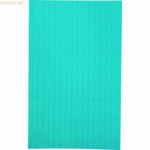 Legamaster Einlegeetikett für Etikettenträger 20x60mm blau