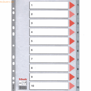 10 x Esselte Register A4 1-10 PP grau