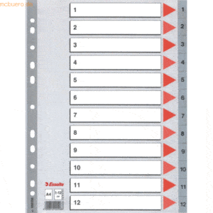 10 x Esselte Register A4 1-12 PP grau