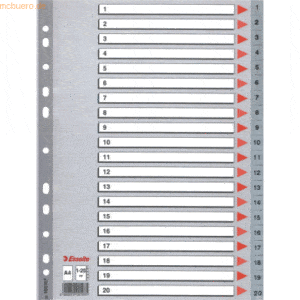 10 x Esselte Register A4 1-20 PP grau