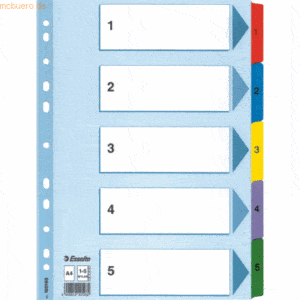 20 x Esselte Register A4 Mylar 1-5 weiß